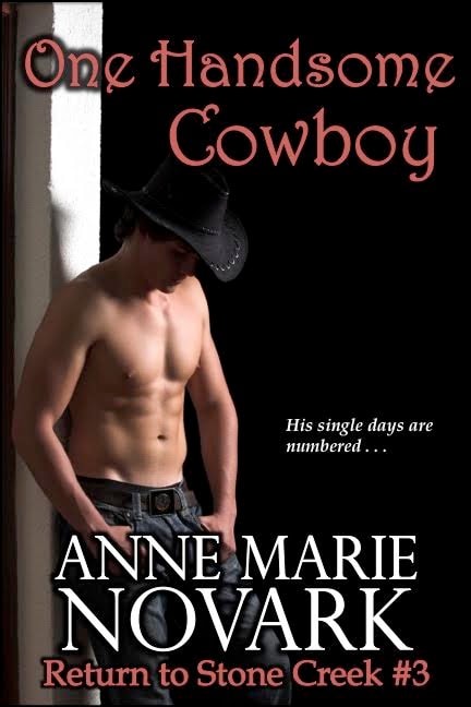One Handsome Cowboy book cover